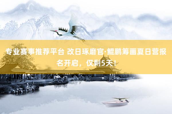 专业赛事推荐平台 改日琢磨官·鲲鹏筹画夏日营报名开启，仅剩5天！