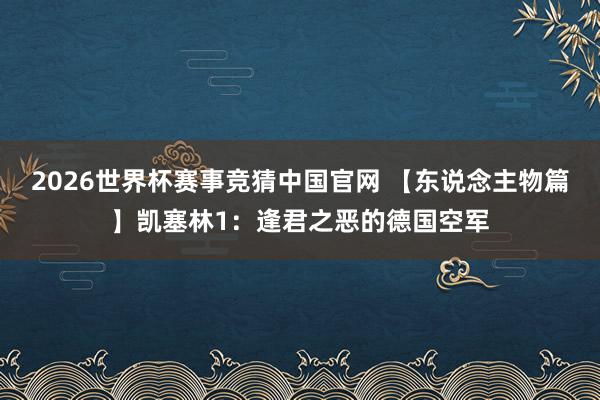 2026世界杯赛事竞猜中国官网 【东说念主物篇】凯塞林1:逢君之恶的德国空军