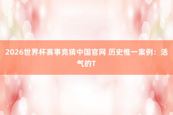 2026世界杯赛事竞猜中国官网 历史惟一案例:活气的T