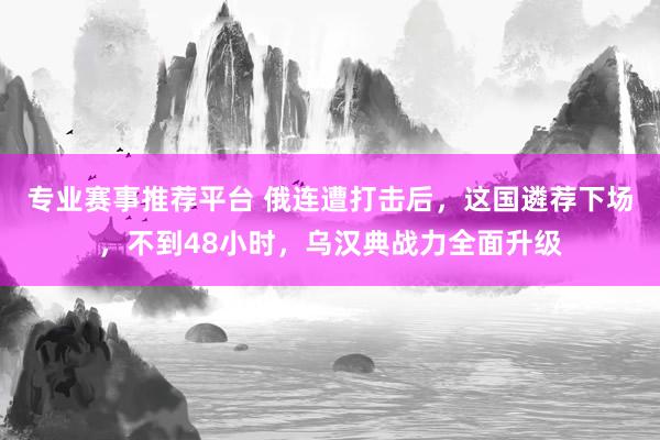 专业赛事推荐平台 俄连遭打击后，这国遴荐下场，不到48小时，乌汉典战力全面升级