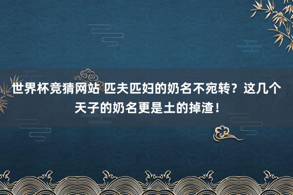 世界杯竞猜网站 匹夫匹妇的奶名不宛转?这几个天子的奶名更是土的掉渣!