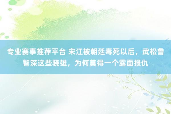专业赛事推荐平台 宋江被朝廷毒死以后,武松鲁智深这些骁雄,为何莫得一个露面报仇
