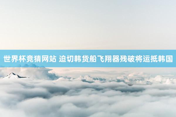 世界杯竞猜网站 迫切韩货船飞翔器残破将运抵韩国
