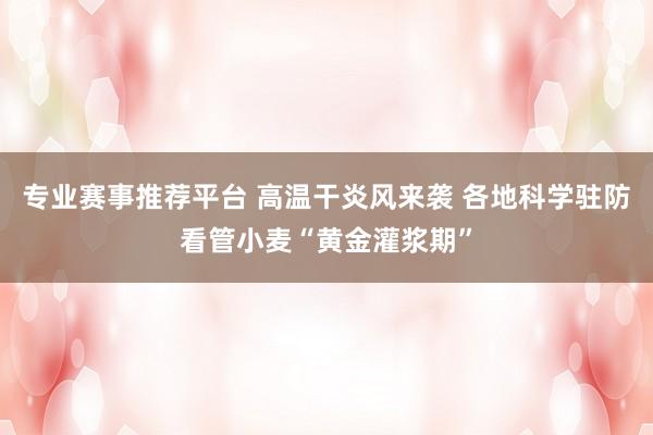 专业赛事推荐平台 高温干炎风来袭 各地科学驻防看管小麦“黄金灌浆期”