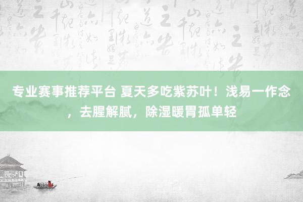 专业赛事推荐平台 夏天多吃紫苏叶！浅易一作念，去腥解腻，除湿暖胃孤单轻