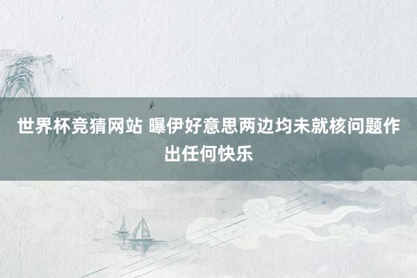 世界杯竞猜网站 曝伊好意思两边均未就核问题作出任何快乐