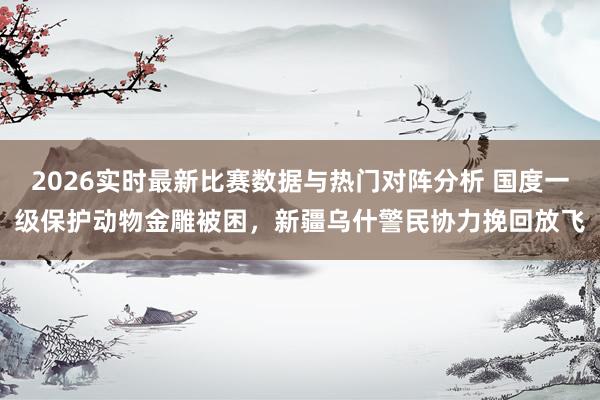 2026实时最新比赛数据与热门对阵分析 国度一级保护动物金雕被困,新疆乌什警民协力挽回放飞
