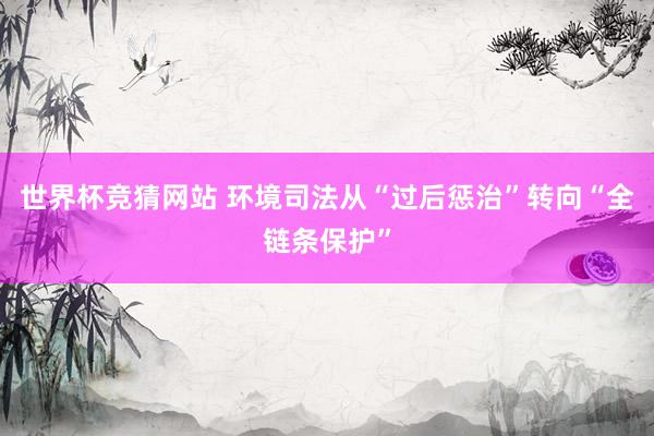 世界杯竞猜网站 环境司法从“过后惩治”转向“全链条保护”