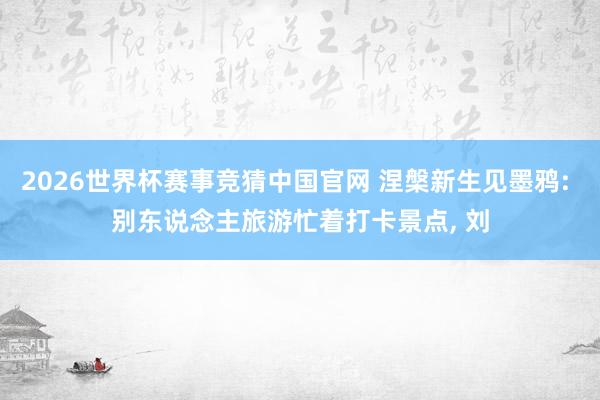 2026世界杯赛事竞猜中国官网 涅槃新生见墨鸦: 别东说念主旅游忙着打卡景点, 刘