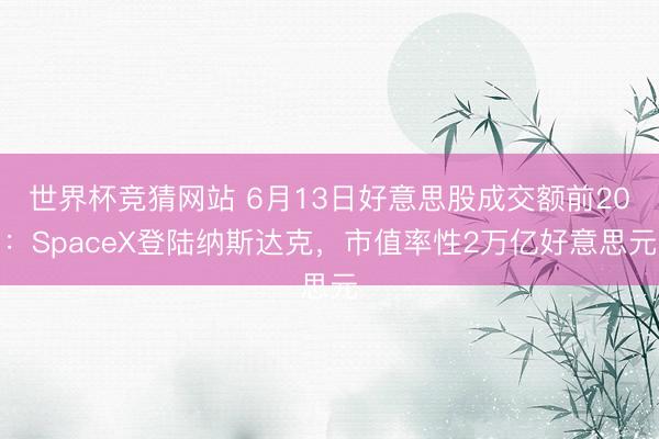 世界杯竞猜网站 6月13日好意思股成交额前20:SpaceX登陆纳斯达克,市值率性2万亿好意思元