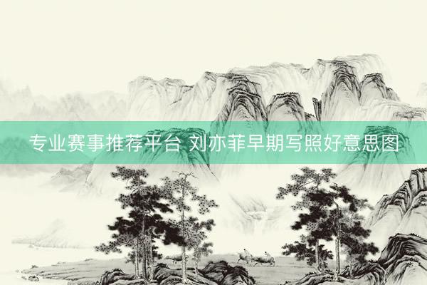 专业赛事推荐平台 刘亦菲早期写照好意思图